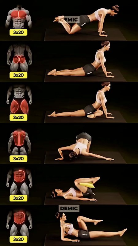 The Gym Society (@gymsociety) on X