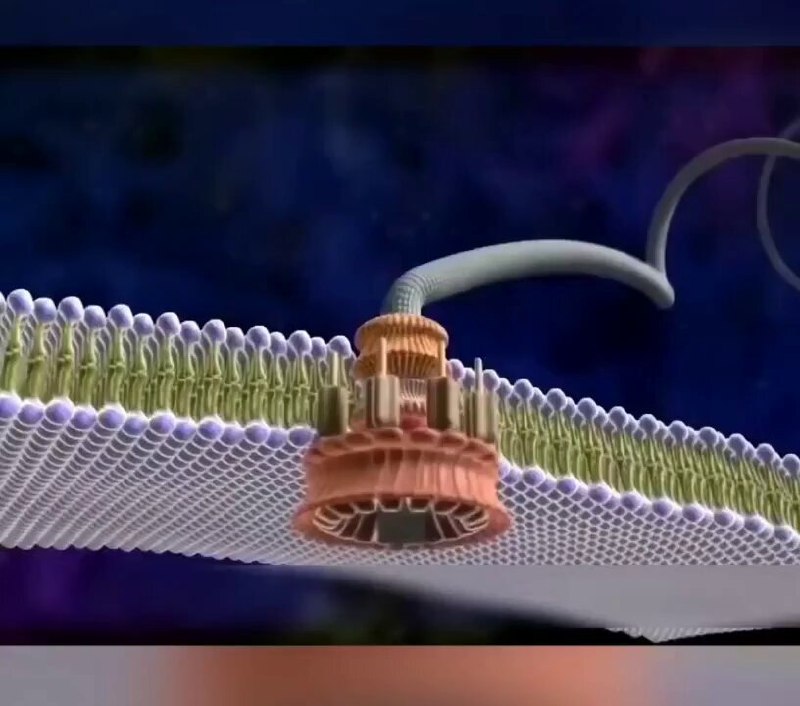 Massimo (@Rainmaker1973) on X