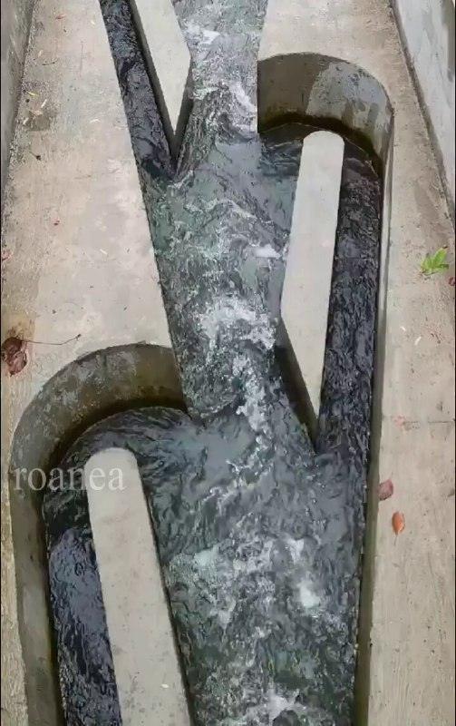 环球猎奇🏅 (@newsNZcn) on X