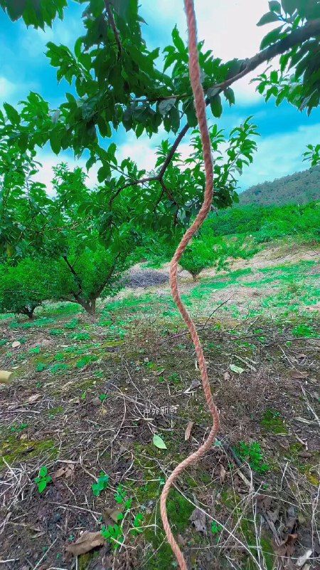 Massimo (@Rainmaker1973) on X