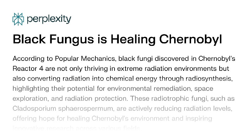 Black Fungus is Healing Chernobyl
