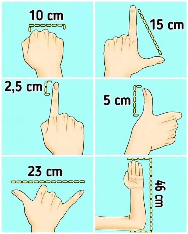 #工具 手可以作为测量工具